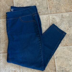 Terra & Sky Pull On Jeans